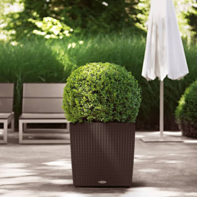 Jardinieră "CUBE Cottage 50 ALL-IN-ONE" - mocha