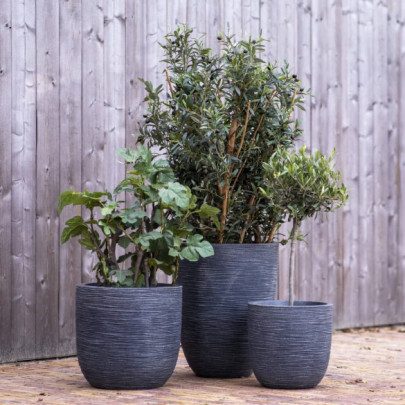 Jardinieră în formă de ou "Waste Rib" - gri - 43x41 cm