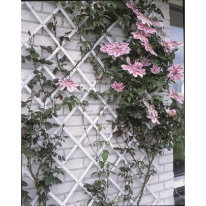 Gard de grădină tip Trellis - 50 x 150 cm PVC - alb - 6040701