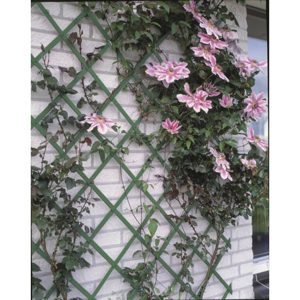 Gard de grădină tip Trellis - 100 x 200 cm PVC - verde - 6040704