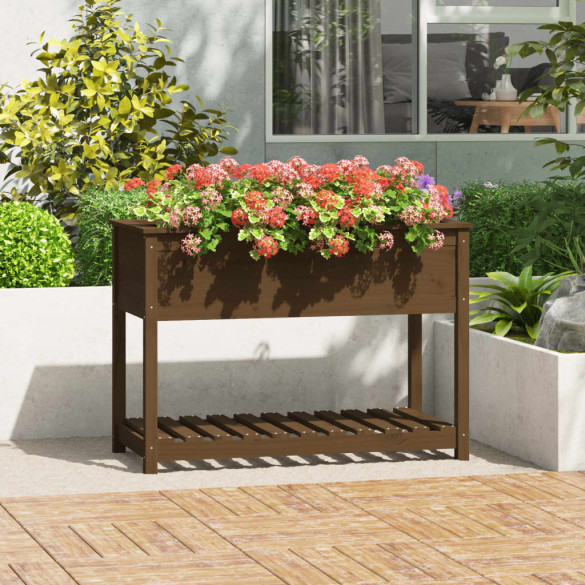 Jardinieră cu raft - maro miere - 111,5x54x81 cm - lemn masiv pin