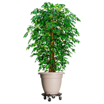 Cărucioare de plante cu roți 2 buc. negru diametru 40 cm 275 kg